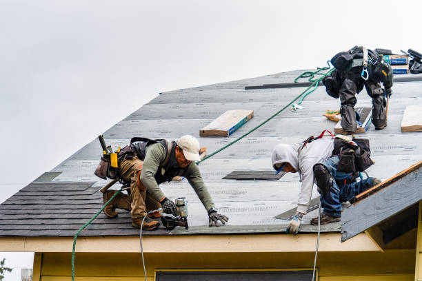 Professional Flat Roof Repair technician working in Poynette, WI
